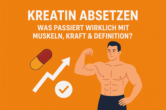 Kreatin absetzen: Was passiert wirklich mit Muskeln, Kraft & Definition?